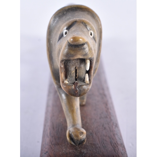 579 - A 19TH CENTURY MIDDLE EASTERN CARVED RHINOCEROS HORN LION. 23 cm wide.