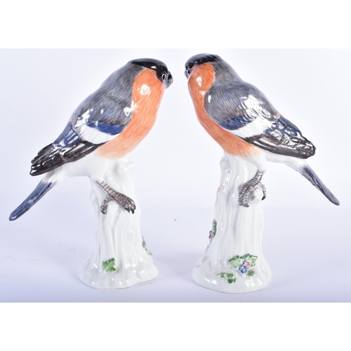 68 - A PAIR OF GERMAN MEISSEN PORCELAIN BIRDS. 15 cm high.