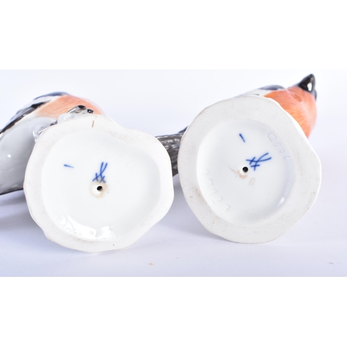 68 - A PAIR OF GERMAN MEISSEN PORCELAIN BIRDS. 15 cm high.