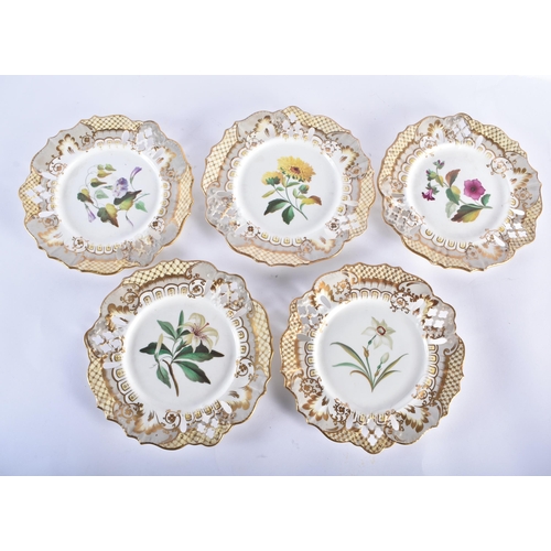 85 - A GROUP OF 19TH CENTURY ENGLISH PORCELAIN PLATES AND DISHES painted with botanical sprays. Largest 2... 