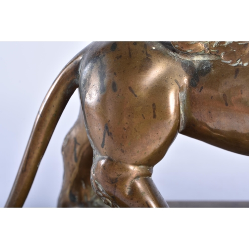 1001 - A FINE 18TH CENTURY EUROPEAN BRONZE FIGURE OF THE LION OF SAINT MARK beautifully modelled upon a rec... 