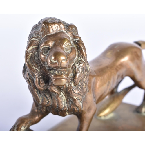 863 - A SMALL ANTIQUE BRONZE GRAND TOUR FIGURE OF A LION. 11 cm wide.