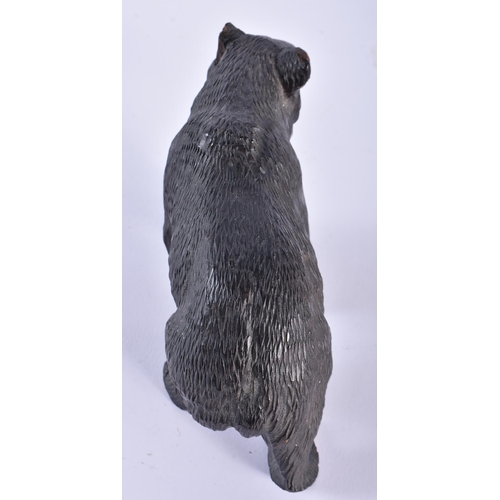 30 - AN ANTIQUE BAVARIAN BLACK FOREST BEAR together with a aeroplane propellor frame. Largest 24 cm x 12 ... 