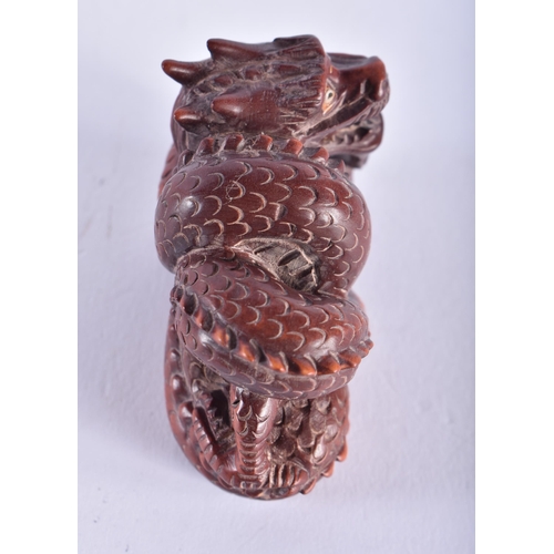 2219 - A JAPANESE CARVED WOOD SNAKE NETSUKE. 29.9 grams. 4 cm x 5.5 cm.