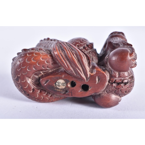 2219 - A JAPANESE CARVED WOOD SNAKE NETSUKE. 29.9 grams. 4 cm x 5.5 cm.