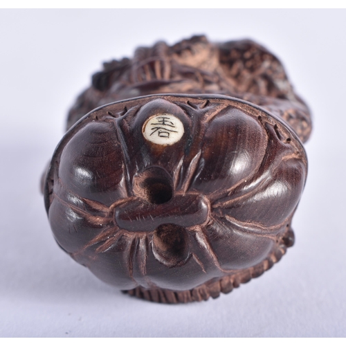 2220 - A JAPANESE CARVED WOOD FROG NETSUKE. 16.9 grams. 6 cm x 4 cm.