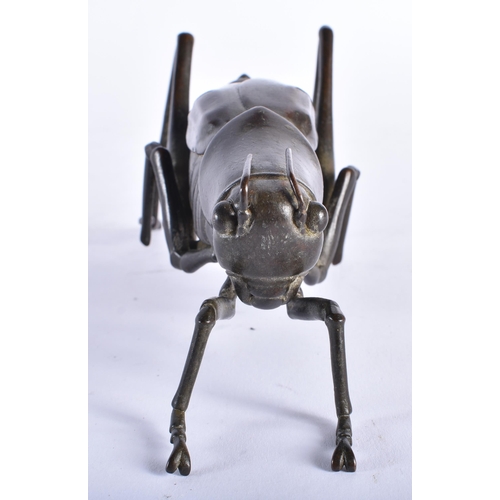 2450 - A JAPANESE BRONZE GRASSHOPPER OKIMONO. 16 cm wide.