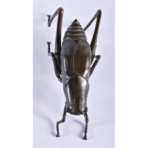 2450 - A JAPANESE BRONZE GRASSHOPPER OKIMONO. 16 cm wide.