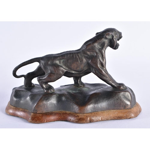 432 - Cast Bronze Sculpture of a Roaring Tiger on Wooden Base. 17.5 cm x 9.75 cm.