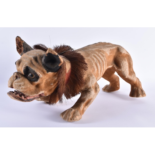 470 - 19th Century Victorian Papier Mache Growling French Bulldog w/ Bobbing Head. 55 cm x 25 cm.