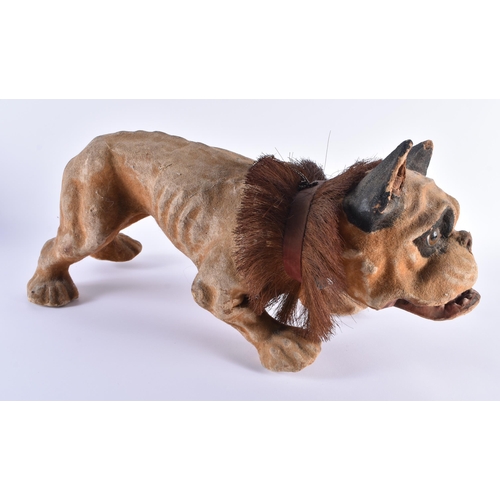 470 - 19th Century Victorian Papier Mache Growling French Bulldog w/ Bobbing Head. 55 cm x 25 cm.