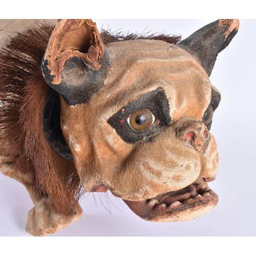 470 - 19th Century Victorian Papier Mache Growling French Bulldog w/ Bobbing Head. 55 cm x 25 cm.