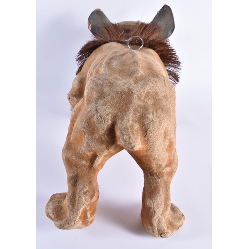 470 - 19th Century Victorian Papier Mache Growling French Bulldog w/ Bobbing Head. 55 cm x 25 cm.