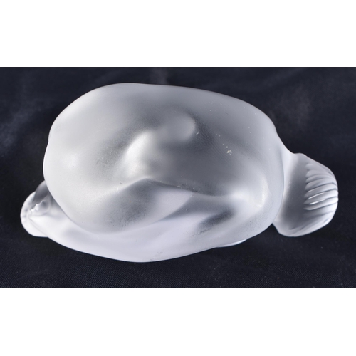 481 - A LALIQUE GLASS SLEEPING NUDE. 8 cm wide.