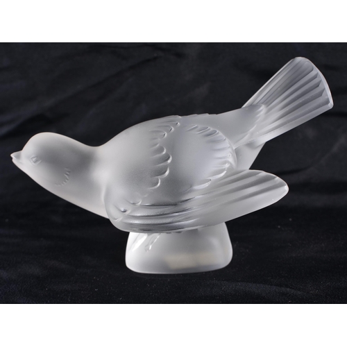 501 - A LALIQUE GLASS BIRD. 11 cm wide.