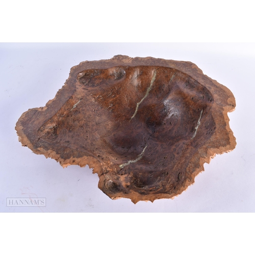 81 - A VERY LARGE BURR WOOD NATURALISTIC WOOD FRUIT BOWL. 42 cm x 34 cm.