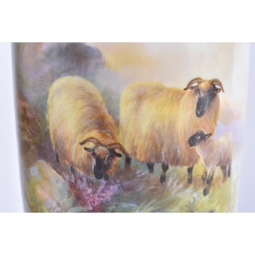 1106 - A PAIR OF ROYAL WORCESTER HARRY DAVIS PORCELAIN VASES painted with highland sheep. 22.5 cm high.