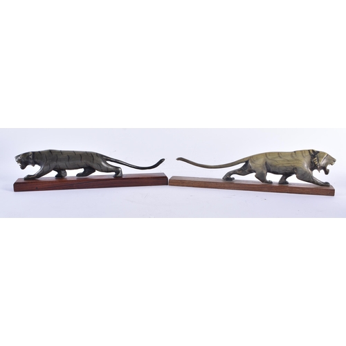 1372 - A PAIR OF 19TH CENTURY ANGLO INDIAN CARVED RHINOCEROS HORN TIGERS. 24 cm wide.