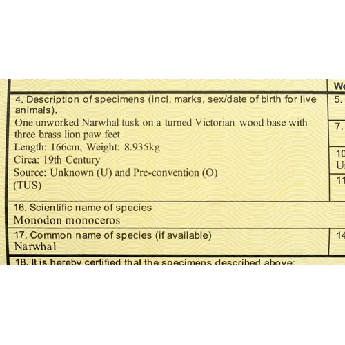 228 - A LARGE VICTORIAN COUNTRY HOUSE NARWHAL TUSK. Cities Number: 24GBA106EL3YR. 166 cm high, 8.93 kgs. T... 