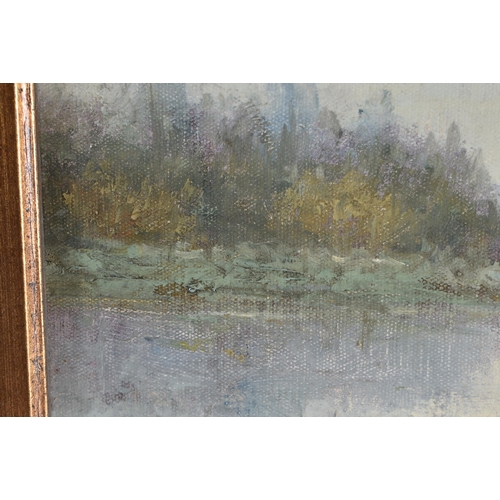 1501 - L Stephano (Born 1948) Korean, Oil on canvas, River landscape. 60 cm x 50 cm.