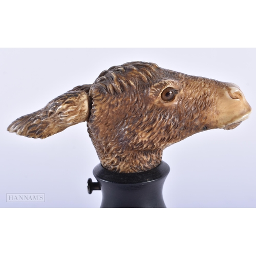 145B - AN UNUSUAL 19TH CENTURY BAVARIAN CARVED HORN ARTICULATED DONKEY HEAD. 14 cm x 11 cm