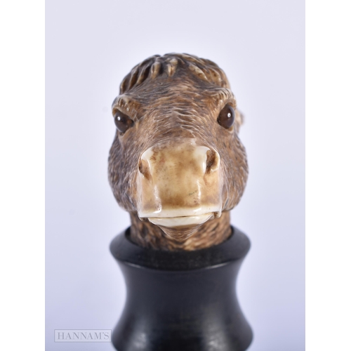 145B - AN UNUSUAL 19TH CENTURY BAVARIAN CARVED HORN ARTICULATED DONKEY HEAD. 14 cm x 11 cm