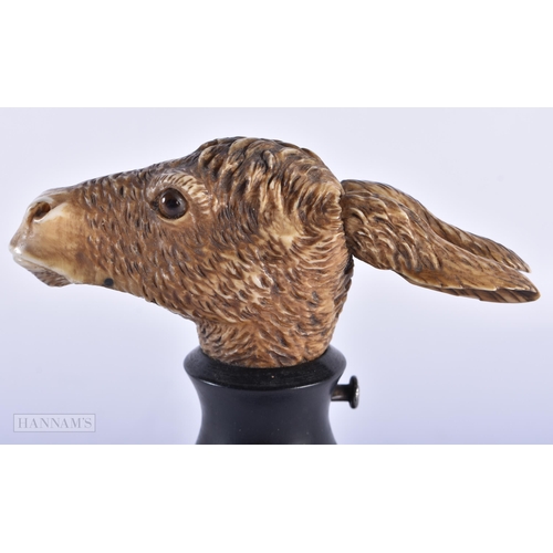 145B - AN UNUSUAL 19TH CENTURY BAVARIAN CARVED HORN ARTICULATED DONKEY HEAD. 14 cm x 11 cm