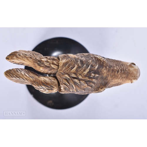 145B - AN UNUSUAL 19TH CENTURY BAVARIAN CARVED HORN ARTICULATED DONKEY HEAD. 14 cm x 11 cm