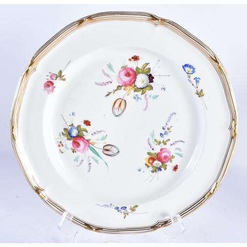 237 - TWO 19TH CENTURY DAVENPORT PLATES together with another. Largest 24 cm wide. (3)