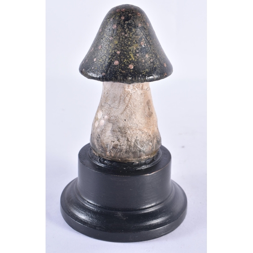 248 - A FOLK ART CARVED WOOD MUSHROOM SPECIMAN. 16 cm high.