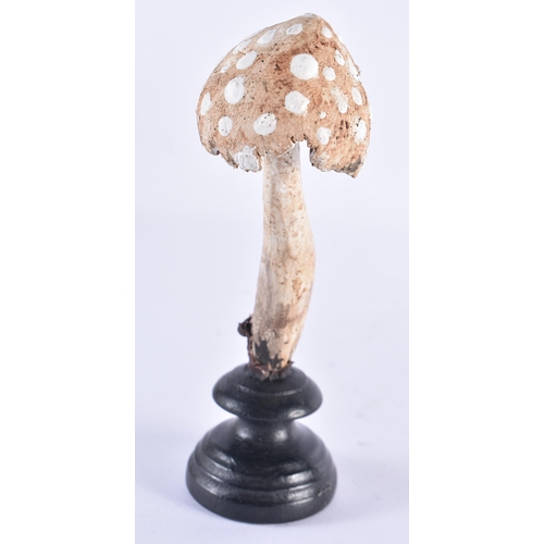 251 - A FOLK ART CARVED WOOD MUSHROOM SPECIMAN. 18 cm high.