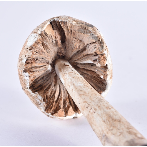 251 - A FOLK ART CARVED WOOD MUSHROOM SPECIMAN. 18 cm high.
