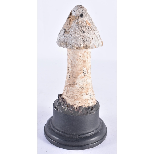 267 - A FOLK ART CARVED WOOD MUSHROOM SPECIMAN. 18 cm high.