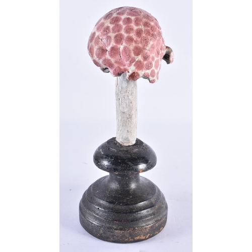 269 - A FOLK ART CARVED WOOD MUSHROOM SPECIMAN. 21 cm high.