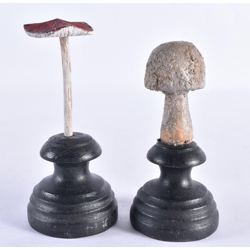 282 - TWO FOLK ART CARVED WOOD MUSHROOM SPECIMANS. 12 cm high. (2)