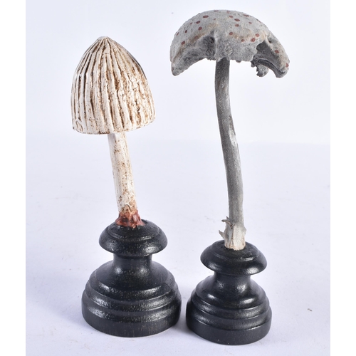 283 - TWO FOLK ART CARVED WOOD MUSHROOM SPECIMANS. 14 cm high. (2)