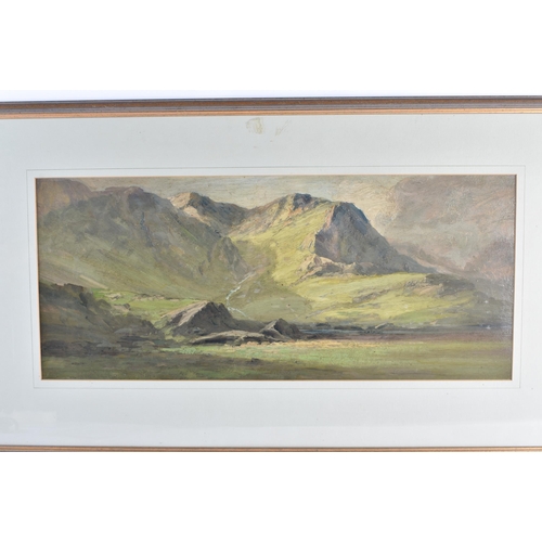 289 - British School (19th Century) Oil painting, Highland landscape. 75 cm x 48 cm.