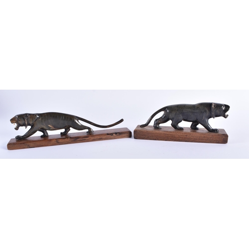 335 - TWO 19TH CENTURY ANGLO INDIAN CARVED RHINOCEROS HORN TIGERS. Largest 22 cm wide. (2)