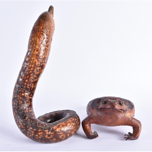 342 - A RARE EARLY 20TH CENTURY LEATHER MORAY EEL together with a similar bull frog. Largest 26 cm high. (... 