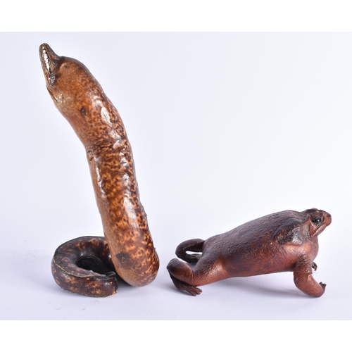 342 - A RARE EARLY 20TH CENTURY LEATHER MORAY EEL together with a similar bull frog. Largest 26 cm high. (... 