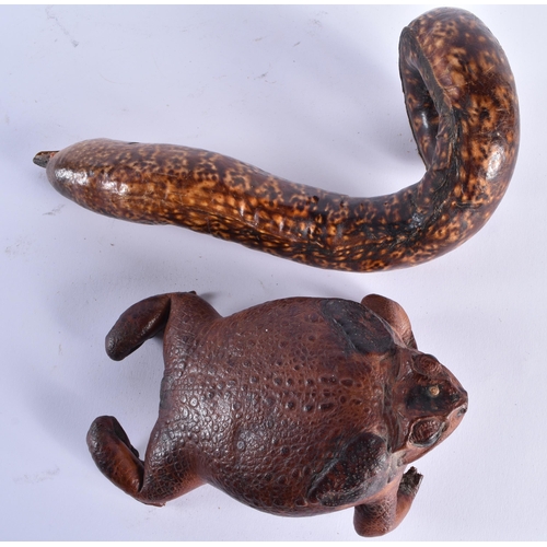 342 - A RARE EARLY 20TH CENTURY LEATHER MORAY EEL together with a similar bull frog. Largest 26 cm high. (... 