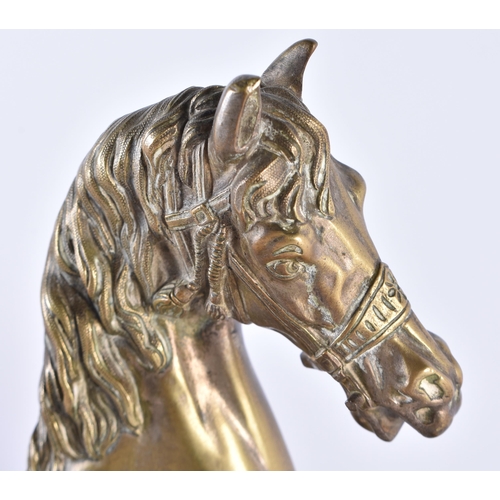 356 - A 19TH CENTURY EUROPEAN BRONZE FIGURE OF A REARING HORSE After the Antiquity, perhaps after a model ... 