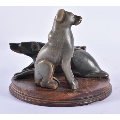 358 - A RARE 19TH CENTURY ANGLO INDIAN CARVED RHINOCEROS HORN DOG GROUP. 12 cm x 12 cm.