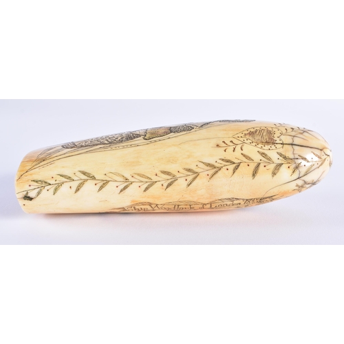 366 - A FINE VICTORIAN SAILORS SCRIMSHAW WHALES TOOTH engraved with a female revealing her breasts, the re... 