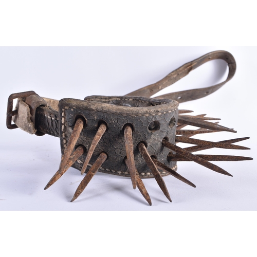 374 - A RARE VICTORIAN BRUTALIST BEAR BATING DOG COLLAR. Strap 100 cm long, collar with spikes 30 cm long ... 