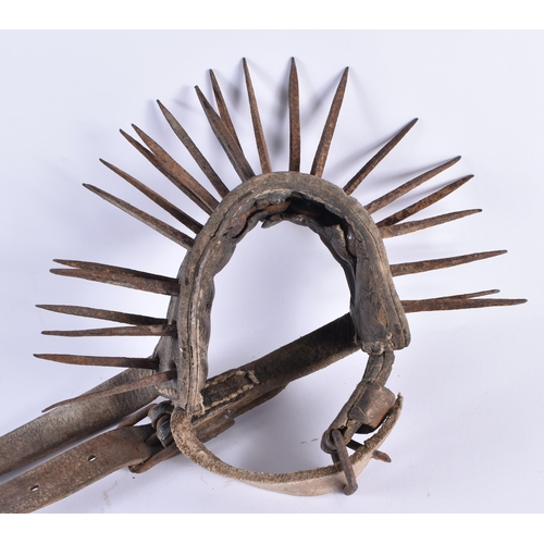 374 - A RARE VICTORIAN BRUTALIST BEAR BATING DOG COLLAR. Strap 100 cm long, collar with spikes 30 cm long ... 