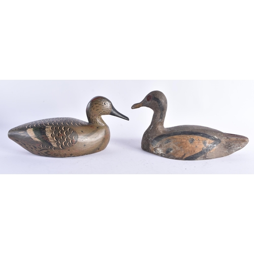 384 - A COLLECTION OF 19TH/20TH CENTURY FOLK ART CARVED WOOD DECOY BIRDS. Largest 34 cm long. (7)