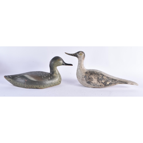 384 - A COLLECTION OF 19TH/20TH CENTURY FOLK ART CARVED WOOD DECOY BIRDS. Largest 34 cm long. (7)