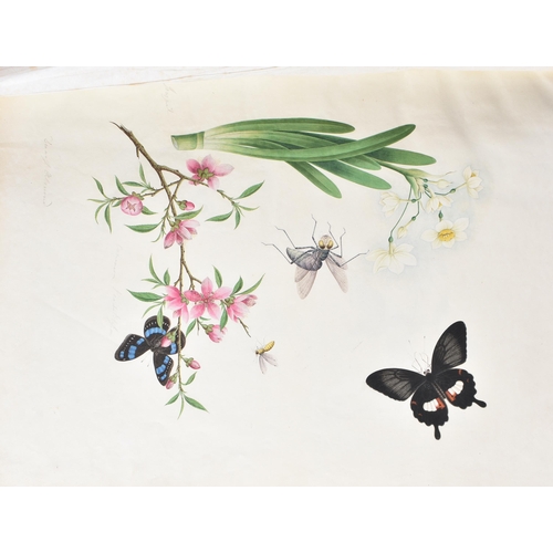 650 - A MAGNIFICANT LATE 18TH/19TH CENTURY ANGLO CHINESE ALBUM OF PAINTINGS Attributed to Win Achun , of e... 