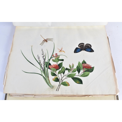 650 - A MAGNIFICANT LATE 18TH/19TH CENTURY ANGLO CHINESE ALBUM OF PAINTINGS Attributed to Win Achun , of e... 